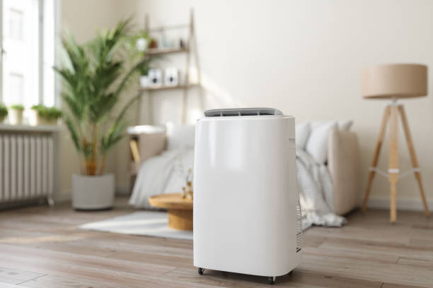 Best Ductless Mini-Split Systems in Bainbridge Island, WA